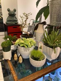 Classes and Luxury Ornaments