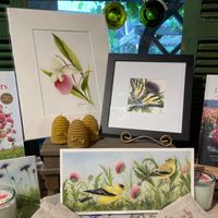 Brenda Horner, Watercolor Painter
