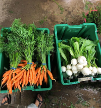 Boalsburg Farmers Market