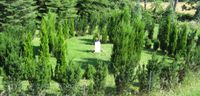 Centred Outdoors - Hikes, Garden Tours & Wellness Activites at Rhoneymeade