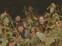 Creek at Causeway Records