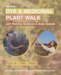 Dye & Medicinal Plant Walk (w/ Planting Radiance)