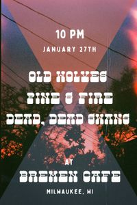 Old Wolves, Pine & Fire, and Dead Dead Swans