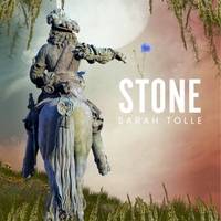 Stone by Sarah Tolle