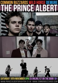 Common Buzzards, Wild Horse & Demure at The Albert