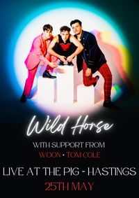 Wild Horse