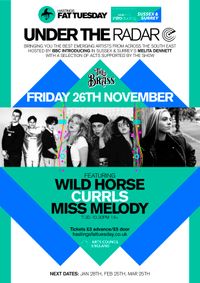 Under The Radar - Wild Horse, Currls, Miss Melody