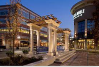 Webster Walk at Blue Back Square - RESCHEDULED