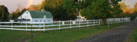 Maple View Farm