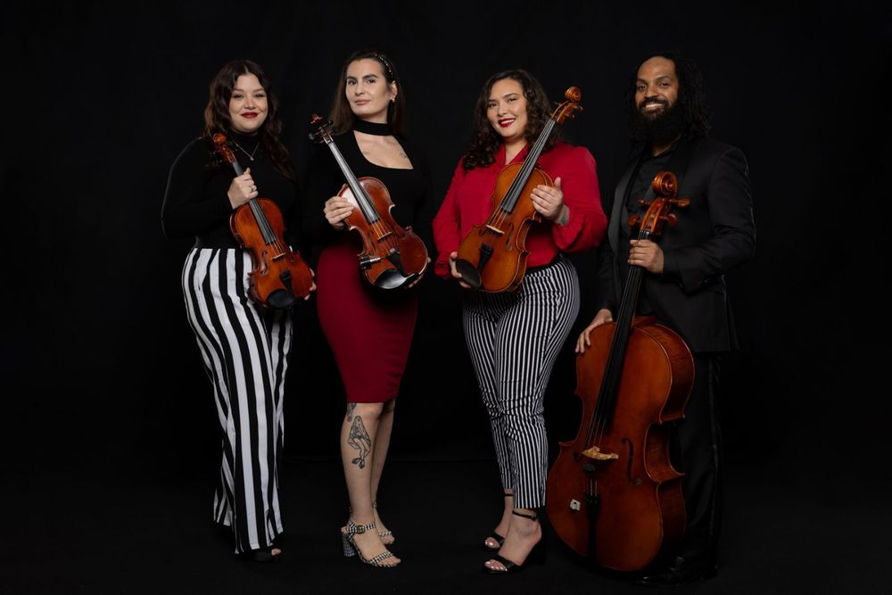 La Primavera Strings photo