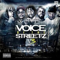 Voice of the Streetz 3 by Hard Workin Entertainment