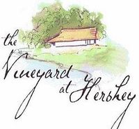 Wes Hoke - Solo Acoustic at the Vineyard at Hershey