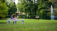 Swing Night at the Grove - Summer Concert Series
