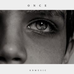 Once cover artwork