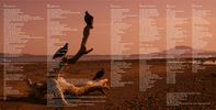 THE UNLIMITED STARS 2021 - 2025 - Limited-Edition Double LP 18-Song Retrospective