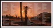 THE UNLIMITED STARS 2021 - 2025 - Limited-Edition Double LP 18-Song Retrospective