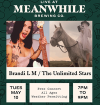The Unlimited Stars - Live