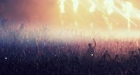 CRD - LIVE CONCERT - VIENNA AUSTRIA