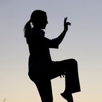 Chesapeake Shaolin Adult Tai Chi