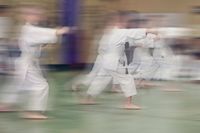Fingerlakes Shaolin Weekday Kids' Class