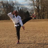 Chesapeake Shaolin Adult Kung Fu