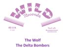 Delta Bombers 45" (c) 2017 - 45"