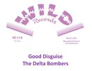 Delta Bombers 45" (c) 2017 - 45"