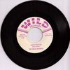 Delta Bombers 45"