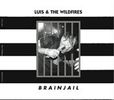 Luis and the Wildfires "Brain Jail"