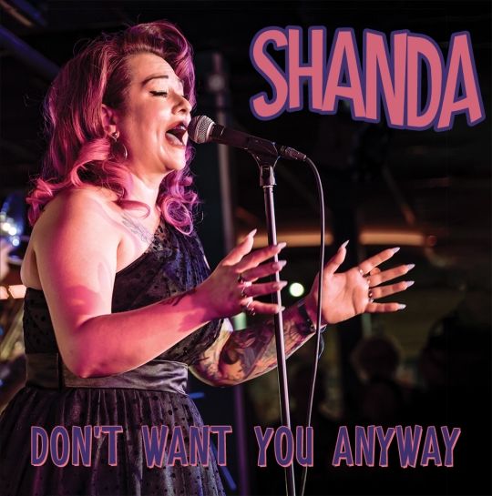 Don't Want You Anyway - Shanda - Don't Want You Anyway - Vinyl 45"
