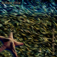 Storms And Starfish by Robert Ellis