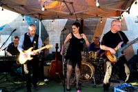 Dog Day Red Fest @ d'Art Winery in Lodi