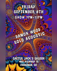 Damon Wood Solo at Cactus Jack’s Saloon