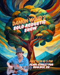 Damon Wood Solo Acoustic Show at Pearl Street Pub & Cellar