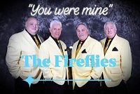  Middlesex County Summer Concert Series & LGE Entertainment presents the Fireflies at South Plainfield NJ