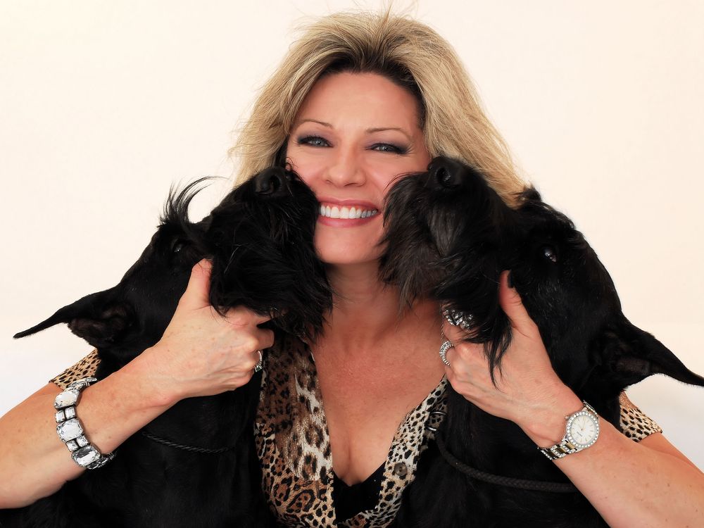 Debonair Dogs dog grooming listing photo