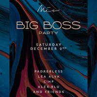 Big Boss Party