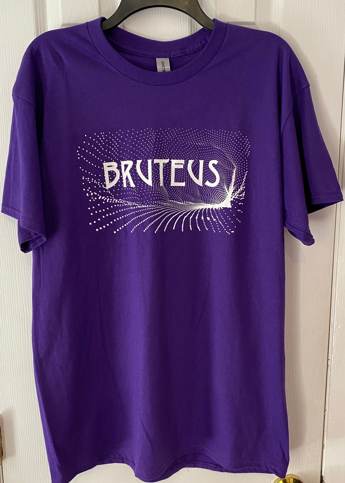 Men's Purple Anthema Style Tee, 50/50 Cotton/Poly