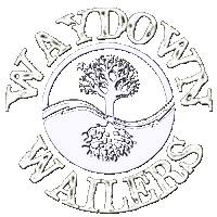 Waydown Wailers Party in the Park