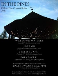 The Cultural Arts Committee  Wanakena NY  and evening with Waydown Wailers Roadshow