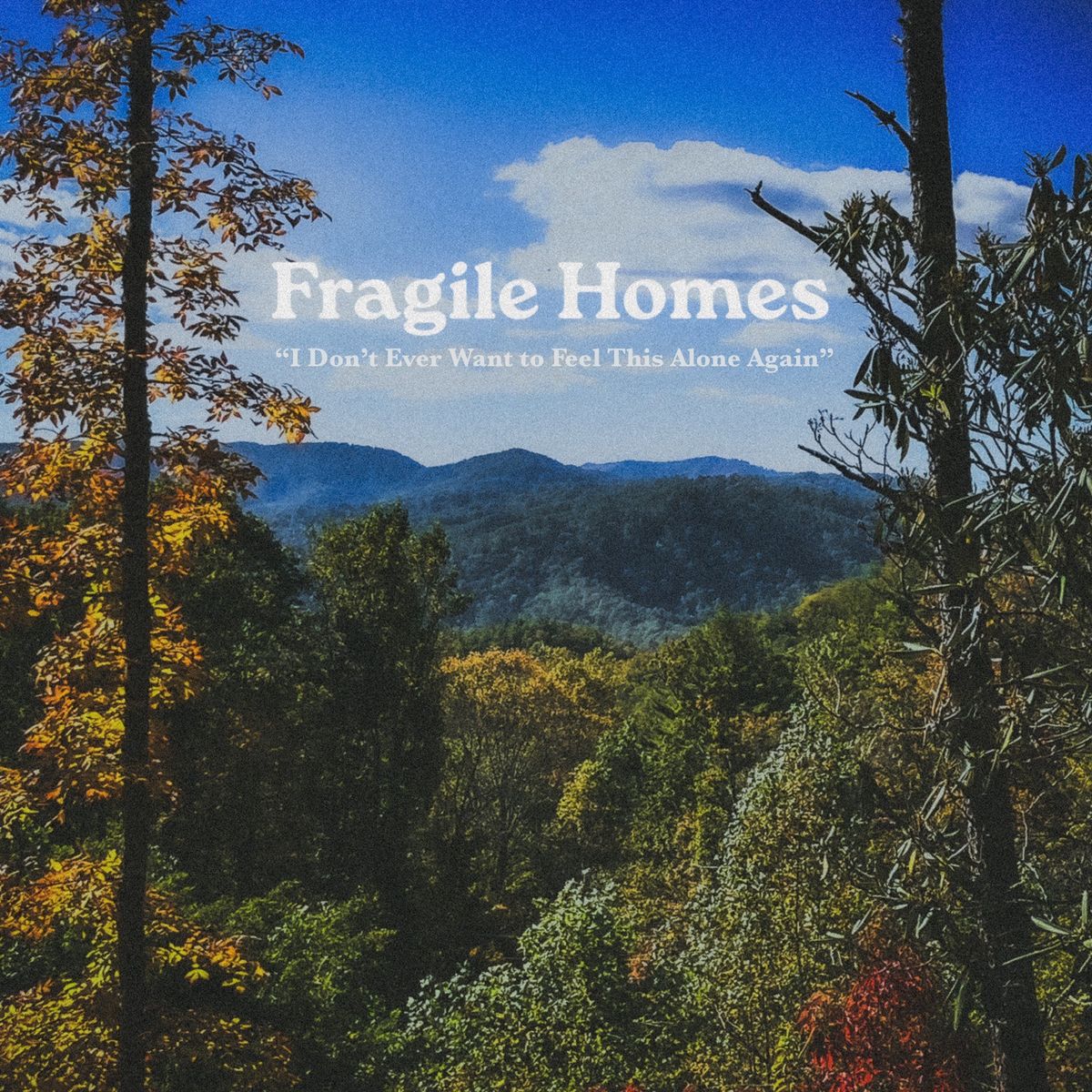 i don't ever want to feel this alone again. - Audio CD