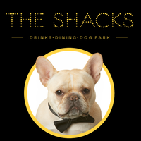Big T (solo) @ The Shacks!
