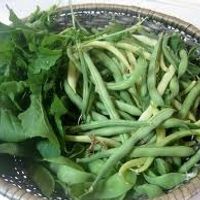 Oats, Peas, Beans, and Barley Grow FREE