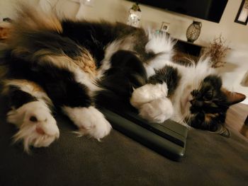 Callie said I was not allowed to read my kindle
