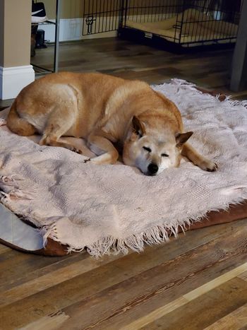Molly was out for the count!
