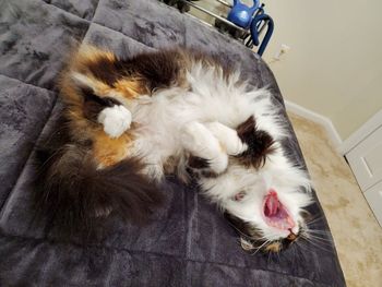 I told Callie it was time to get up. She was not happy!
