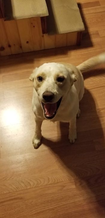 Bailey was very excited for her snack!
