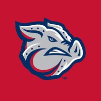 Iron Pigs  