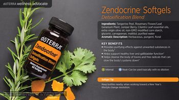 Supports endocrine health
