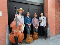Club Voltaire Garden Acreage Concert in Deep Cove